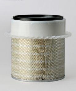 Filtro aire 1º – P181000 – Donaldson