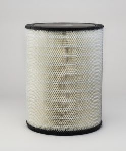 Filtro aire – P181109 – Donaldson